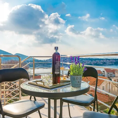 Seagulls Blue Bay دوبروفينك