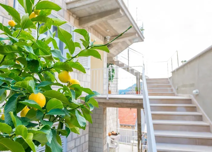 Seagulls Blue Bay דירה דוברובניק